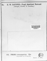 Image Associated With the Occurence